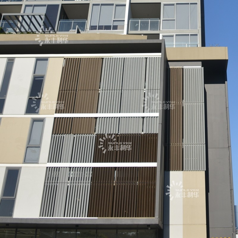 External Aluminum Louver Roof Window Systems (1)